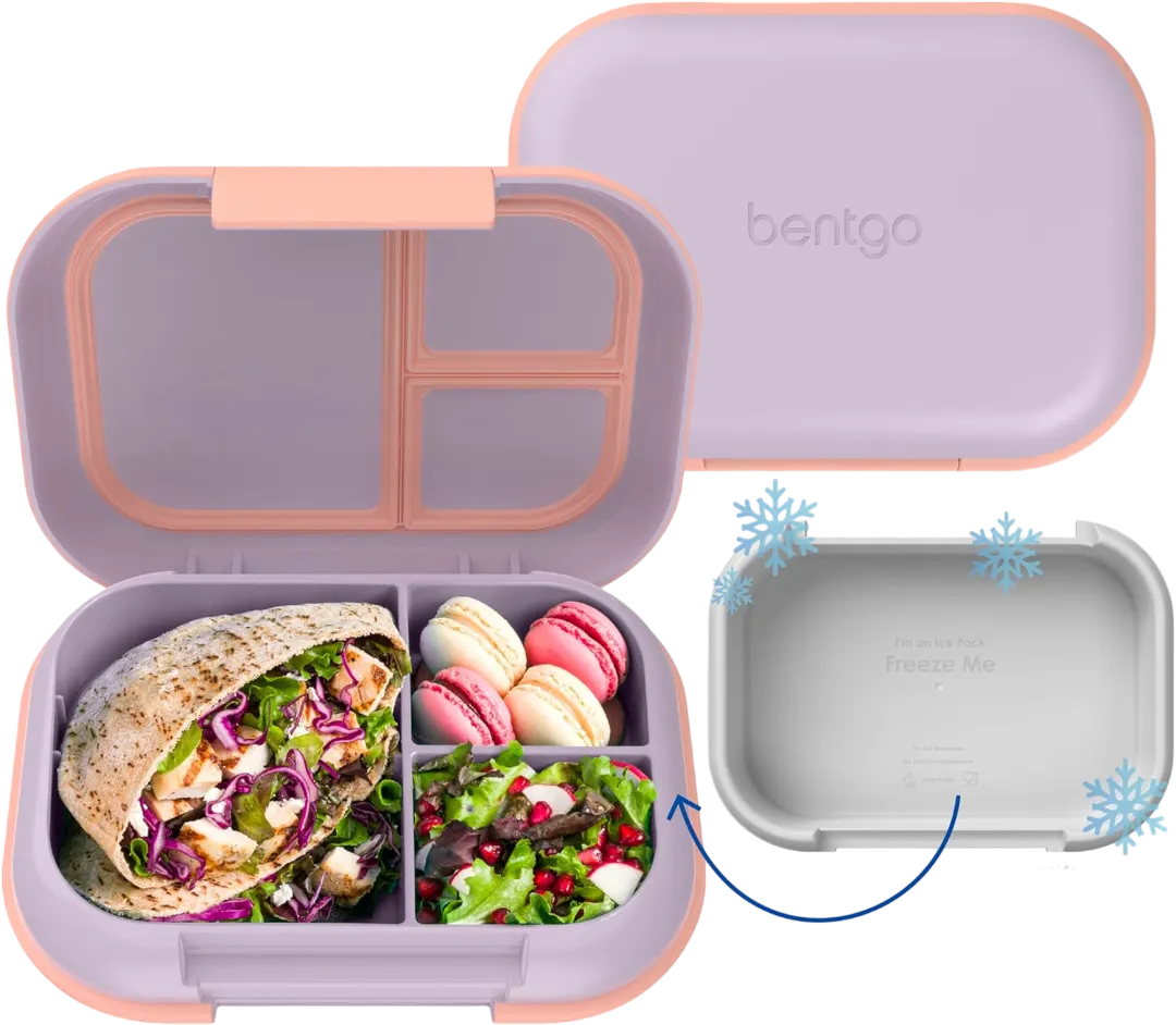 https://www.amazon.com/Bentgo-Chill-Max-Leak-Proof-Lunch/dp/B0DWD47BW7/ref=sr_1_4?crid=LTGUF0WOTYDI&dib=eyJ2IjoiMSJ9.u0iF7nRzBcAiCXIMlgmy59B2nTDHEnhvH9WydJO0qoPiIRPq1lcMn9Ok7rwqKC3CYnzl8WzzfvST06ncjsu3CFLFaCd0gqjfnUPWp4GLJNuXc4a19y_QpC0YcAamxjeuK-IthDKeYvab_pIs7kcI-e2Y5LatHojmoD1bPAc7Ltk_8MNLktQyB_vU4BMqkNKUjncoPaEZbyDpLKNtCNMvCQSmK6lGHaBRDndFbEaFgteWRRBh1uOXpN1hl0Lsd9QDANpgiQkj_2kmgkgDFZMbNX9iHDs5sOzTx7AFOKyCPnc.sd6hQGNyP-NVs7m8F_06yDoQFL7qrNM60cSEUef21zs&dib_tag=se&keywords=Bentgo%2BChill%2BKids%2BLeak-Proof%2BLunch%2BBox&qid=1765467027&sprefix=bentgo%2Bchill%2Bkids%2Bleak-proof%2Blunch%2Bbox%2Caps%2C498&sr=8-4&th=1